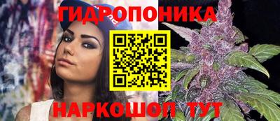 прущие грибы Бугуруслан