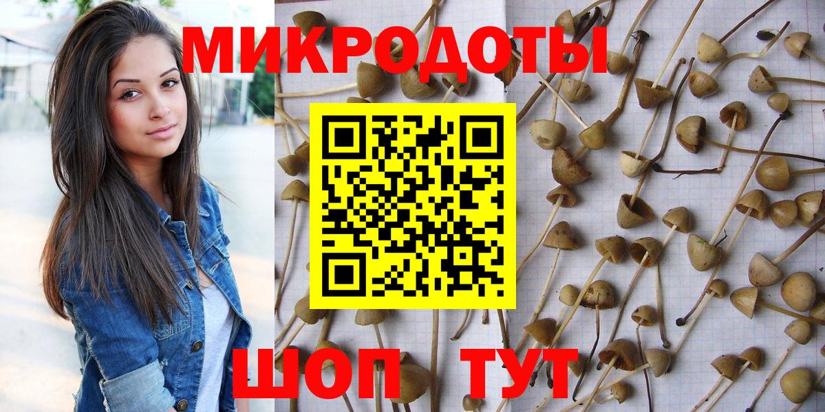 закладка  Вход с VPN  Тында  Галлюциногенные грибы мухоморы 